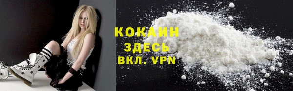 шишки Новокубанск