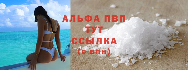 индика Новодвинск