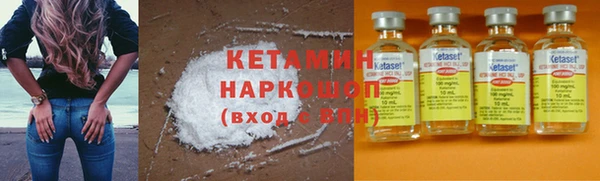 шишки Новокубанск