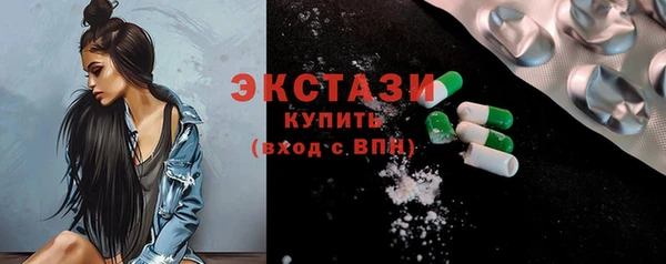 индика Новодвинск