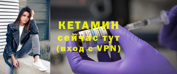 индика Новодвинск