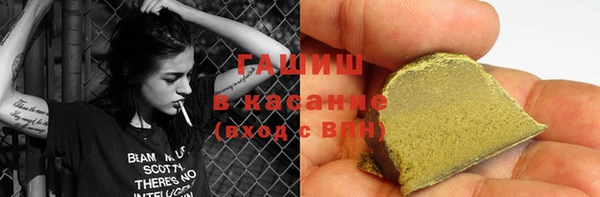 индика Новодвинск