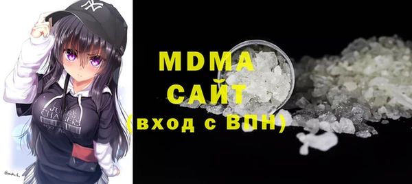 индика Новодвинск
