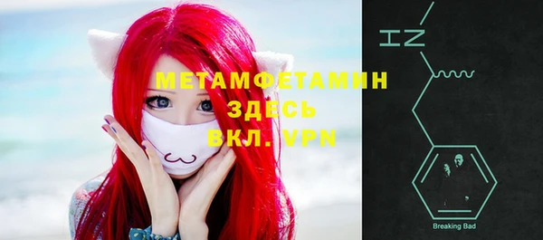 индика Новодвинск