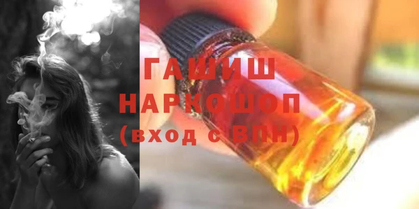 индика Новодвинск