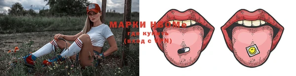 индика Новодвинск