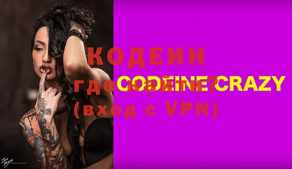индика Новодвинск