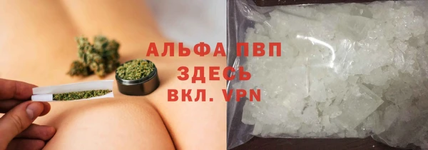 шишки Новокубанск