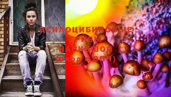 шишки Новокубанск