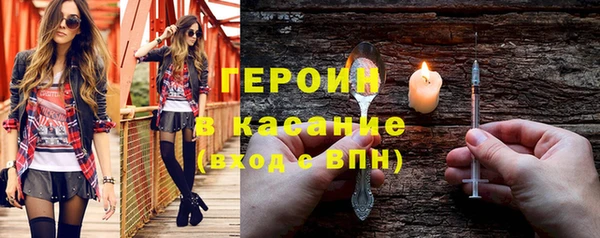 индика Новодвинск