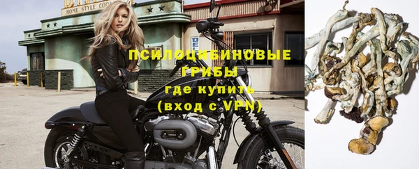 шишки Новокубанск