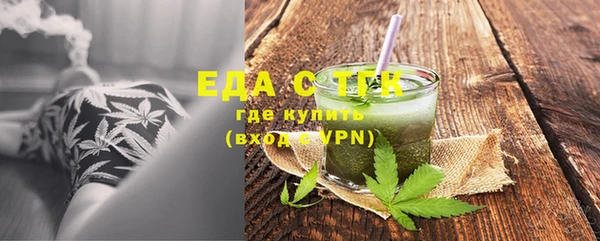 индика Новодвинск