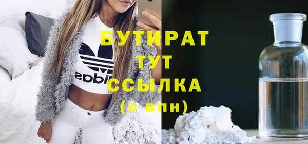 индика Новодвинск