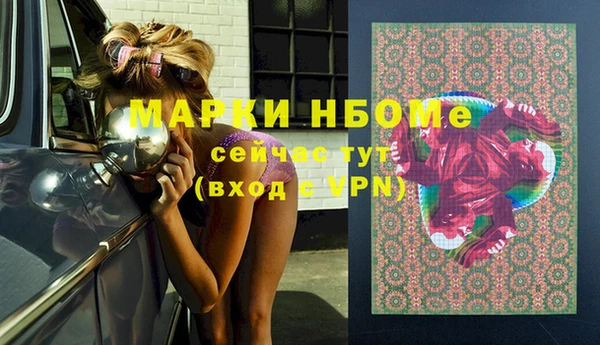 индика Новодвинск
