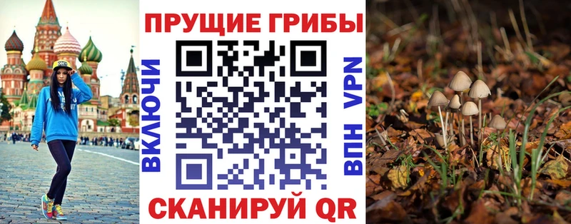 Галлюциногенные грибы Psilocybine cubensis  это телеграм  Красноуральск 